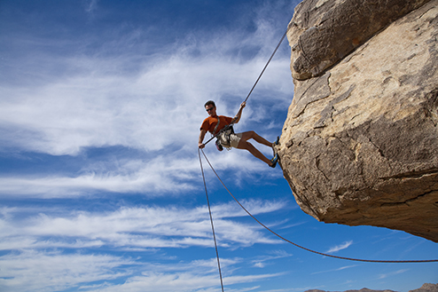 Helping you develop supplements.